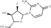 2'-Deoxy-2'-fluoroisocytidine