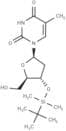 3'-O-t-Bulyldimethylsilyl thymidine
