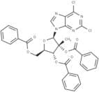 2,6-Dichloro-9-(2-C-methyl-2,3,5-tri-O-benzoyl-β-D-ribofuranosyl)purine