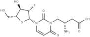 2'-Deoxy-2'-fluoro-N3-(2S)-(2-amino-3-carbonyl]propyl-β-D-arabinouridine