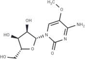 5-Methoxy  cytidine