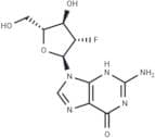 2'-Deoxy-2'-fluoro-α-D-arabinoguanosine