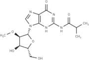 2'-O-Methyl-N2-isobutyroylguanosine