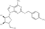 2-(4-Methylbenzyl)thioadenosine