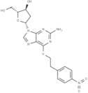 2'-Deoxy-O6-[2-(4-nitrophenylethyl)]guanosine