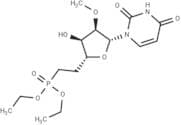 1-[6-(Diethoxyphosphinyl)-2-O-methyl-β-D-ribo-hexofuranosyl]uracil