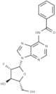 N6-Benzoyl-2'-fluoro-2'-deoxyarabinoadenosine