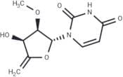 4',5'-Didehydro-5'-deoxy-2'-O-methyluridine