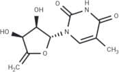4',5'-Didehydro-5'-deoxy-5-methyluridine