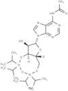 3',5'-TIPS-N-Ac-Adenosine