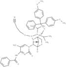 DMT-locMeC(bz) phosphoramidite
