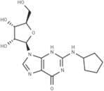 2'-Deoxy-N2-cyclopentyl guanosine