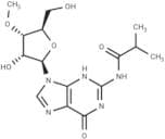 N2-iso-Butyroyl-3'-O-methylguanosine
