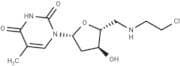 5'-Deoxy-5'-N-(2-chloroethyl)aminothymidine