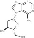 6-Amino-9-[2-deoxy-β-D-ribofuranosyl]-9H-purine
