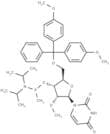 5'-O-DMTr-2'-OMeU-methyl phosphonamidite