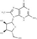 8-Methylguanosine