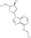N6-Ethyl-2'-deoxyadenosine