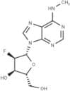 2'-Deoxy-2'-fluoro-N6-methyladensoine
