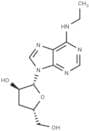 3'-Deoxy-N6-ethyladenosine