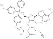 5'-O-DMTr-2'-O-methyl-N6-methyl adenosine 3'-CED phosphoramidite