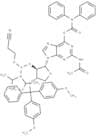 DMTr-TNA-G(O6-CONPh2)(N2Ac)-amidite