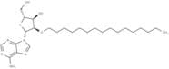 2'-O-Hexadecanyl adenosine
