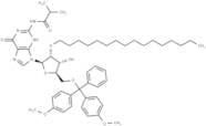 N2-iBu-5'-O-DMTr-2'-O-hexadecanyl guanosine