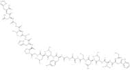 Galanin (1-19), human