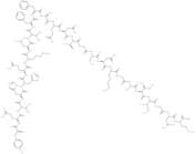 β-Amyloid (10-35), amide