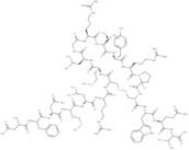 MCH(human, mouse, rat)