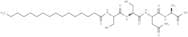 Palmitoyl tetrapeptide