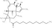 Dodecanoic acid ingenol ester