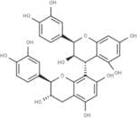 Procyanidin B1