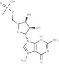 7-Methylguanosine 5′-monophosphate