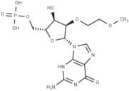 2'-O-MOE-GMP