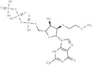 2'-O-MOE-GTP