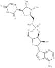 Adenosyl-(3′→5′)-uridine sodium