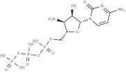 3'-NH2-CTP