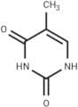 Thymine