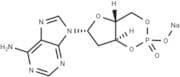 2'-Deoxyadenosine 3':5'-cyclic monophosphate sodium