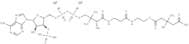DL-3-Hydroxy-3-methylglutaryl coenzyme A disodium hydrate