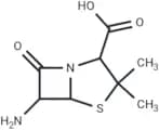 6-Aminopenicillanic acid