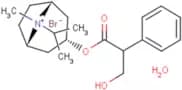 Ipratropium bromide monohydrate