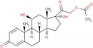 Prednisolone acetate