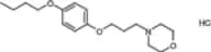Pramocaine hydrochloride