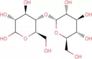 Maltose