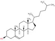 Cholesterol