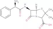 Ampicillin