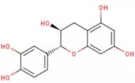 Catechin